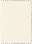 Milkweed<br>Scallop Card<br>5 x 7<br>25/pk
