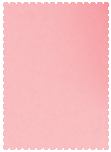 Stardream Rose<br>Scallop Card<br>5 x 7<br>25/pk