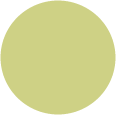 Tropical Green<br>Circle Card 4 <small>1/4</small> inch<br>25/pk