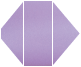 Metallic Lilac<br>Gatefold Invitation<br>4 <small>1/4</small> x 9 <small>1/2</small><br>10/pk