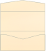 Metallic Butter<br>Pocket Invitation Style A<br>4 x 9<br>10/pk