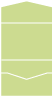 Tropical Green<br>Pocket Invitation Style A<br>7 <small>1/4</small> x 5 <small>1/4</small><br>10/pk