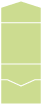 Tropical Green<br>Pocket Invitation Style A<br>5 <small>3/4</small> x 5 <small>3/4</small><br>10/pk