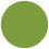 Iguana Circle Card 3 Inch - 25/Pk
