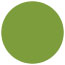 Iguana Circle Card 4 3/4 Inch - 25/Pk