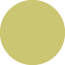 Tropical Green Circle Card 4 3/4 Inch - 25/Pk
