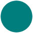 Fiji Circle Card 4 3/4 Inch - 25/Pk