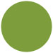 Iguana Circle Card 5 3/4 Inch - 25/Pk