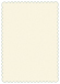 Milkweed Scallop Card 5 x 7 - 25/Pk