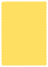 Lemon Drop Scallop Card 5 x 7 - 25/Pk
