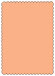 Ginger Scallop Card 5 x 7 - 25/Pk