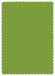 Iguana Scallop Card 5 x 7 - 25/Pk