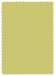 Tropical Green Scallop Card 5 x 7 - 25/Pk