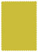 Mystique Scallop Card 5 x 7 - 25/Pk