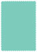 South Beach Scallop Card 5 x 7 - 25/Pk