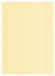 Caramel Scallop Card 5 x 7 - 25/Pk