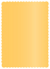 Amber Scallop Card 5 x 7 - 25/Pk