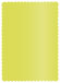 Lime Scallop Card 5 x 7 - 25/Pk