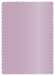 Violet Scallop Card 5 x 7 - 25/Pk