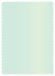 Lagoon Scallop Card 5 x 7 - 25/Pk