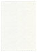 White Pearl Scallop Card 5 x 7 - 25/Pk