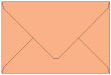 Ginger Booklet Envelope 6 x 9 - 25/Pk