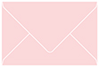 Pink Feather Booklet Envelope 6 x 9 - 25/Pk