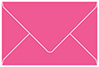 Raspberry Booklet Envelope 6 x 9 - 25/Pk