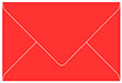 Rouge Booklet Envelope 6 x 9 - 25/Pk