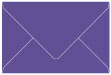 Amethyst Booklet Envelope 6 x 9 - 25/Pk