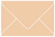 Latte Booklet Envelope 6 x 9 - 25/Pk