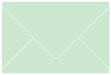 Green Tea Booklet Envelope 6 x 9 - 25/Pk