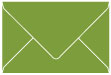Iguana Booklet Envelope 6 x 9 - 25/Pk