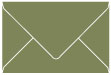 Cactus Booklet Envelope 6 x 9 - 25/Pk