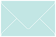 Daffy Blue Booklet Envelope 6 x 9 - 25/Pk