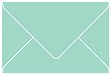 Tiffany Blue Booklet Envelope 6 x 9 - 25/Pk