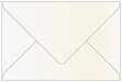 Ice Gold Booklet Envelope 6 x 9 - 25/Pk