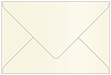 Poison Ivory Booklet Envelope 6 x 9 - 25/Pk