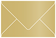 Gold Leaf Booklet Envelope 6 x 9 - 25/Pk