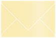 Caramel Booklet Envelope 6 x 9 - 25/Pk
