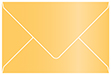 Amber Booklet Envelope 6 x 9 - 25/Pk