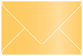 Amber Booklet Envelope 6 x 9 - 25/Pk