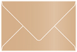 Cappuccino Booklet Envelope 6 x 9 - 25/Pk