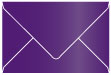 Purple Booklet Envelope 6 x 9 - 25/Pk