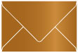 Cognac Booklet Envelope 6 x 9 - 25/Pk