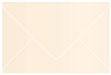 Coral Booklet Envelope 6 x 9 - 25/Pk
