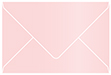 Rose Booklet Envelope 6 x 9 - 25/Pk