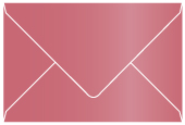 Azalea Booklet Envelope 6 x 9 - 25/Pk
