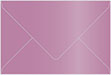Punch Booklet Envelope 6 x 9 - 25/Pk