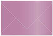 Punch Booklet Envelope 6 x 9 - 25/Pk
